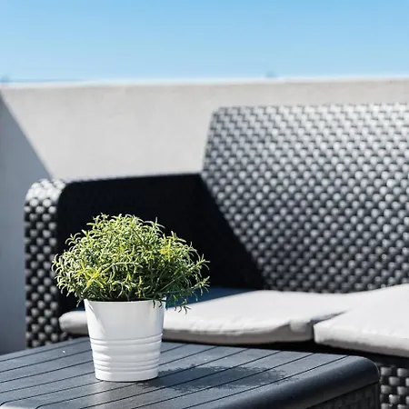 Guestready - Golden And Silver Dawn